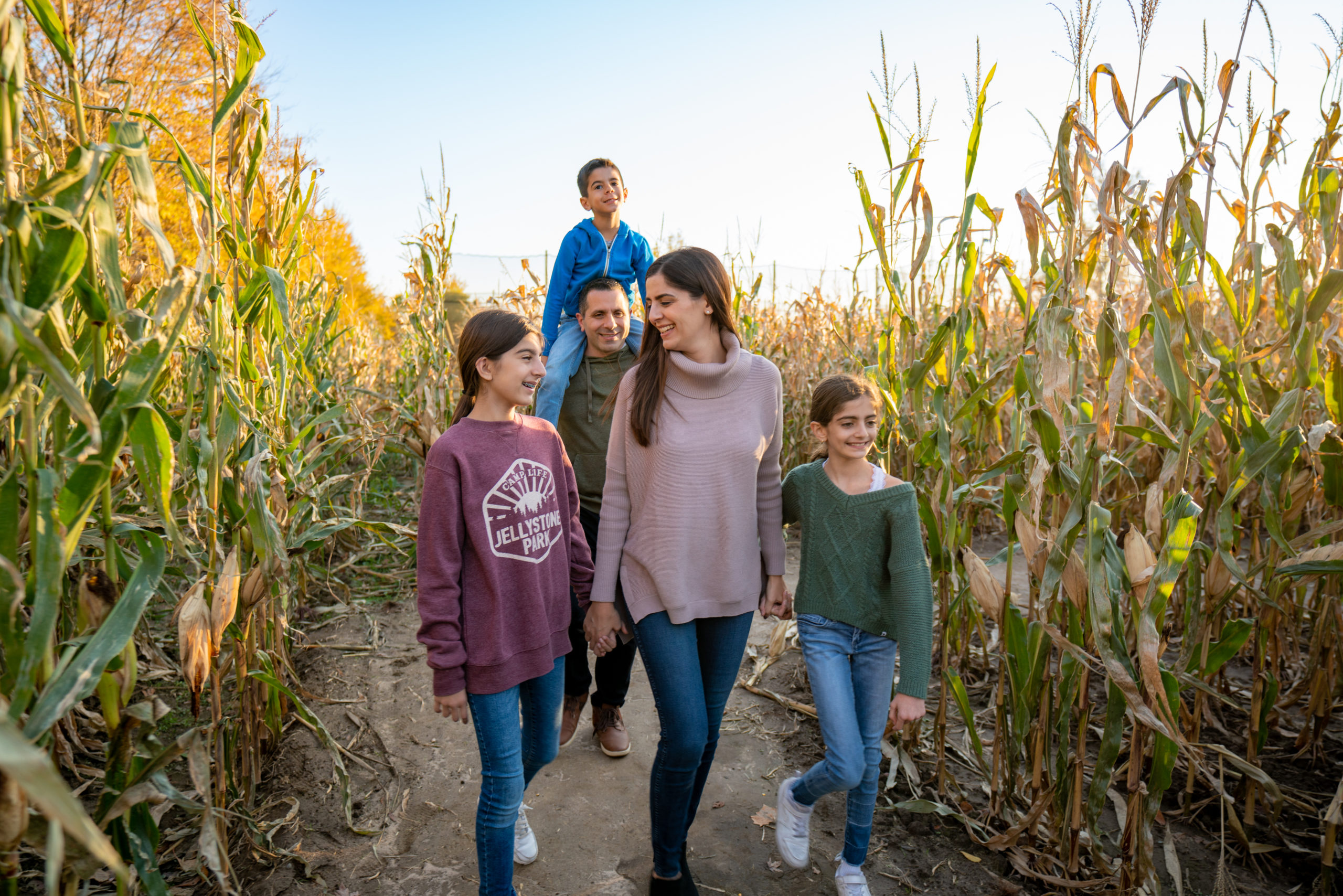 Corn Maze