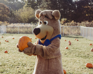 Boo Boo Pumpkins