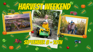 #southhavenmichigan #shjellystone #southhavenjellystone #jellystonepark #happylaborday #yogibear #rangersmith #booboobear #CindyBear #readyforfall #harvestweekend