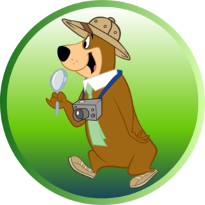 Safari Yogi