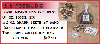 Fossil Dig