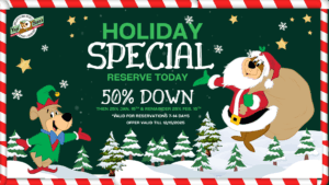 Pay half now and pay over 2 months