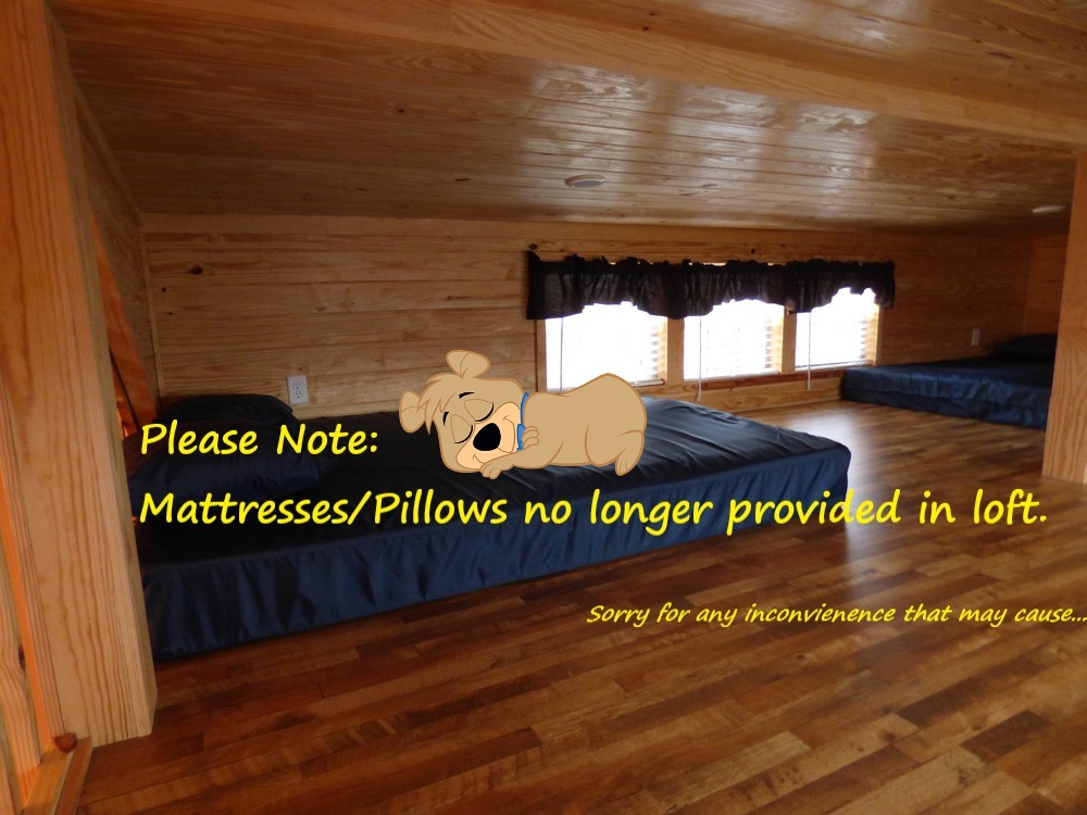 Lazy Bear with no Mattress in loft