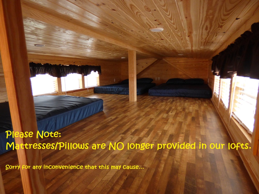 No Mattress Pillows in Lazy Bear Loft