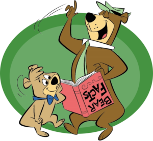 Yogi Reading Bear Facts