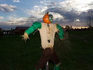 Halloween Scarecrow